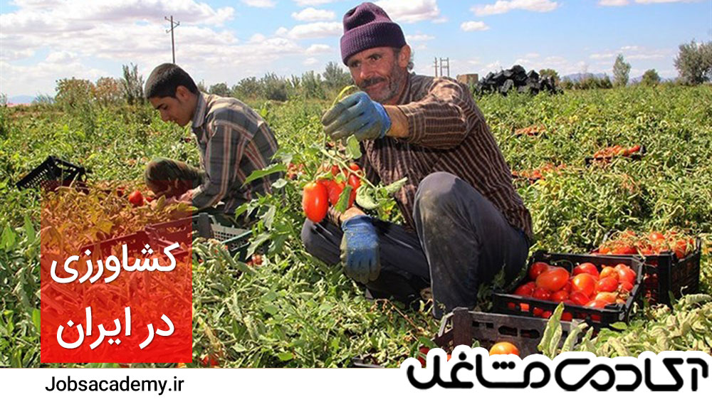 کشاورزی در ایران