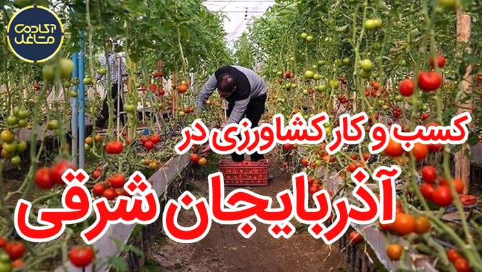 کسب-و-کار-کشاورزی-در-آذربایجان-شرقی