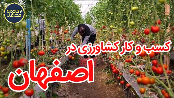 بهترین شغل در اصفهان در مشاغل کشاورزی