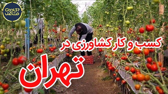 کسب-و-کار-کشاورزی-در-تهران