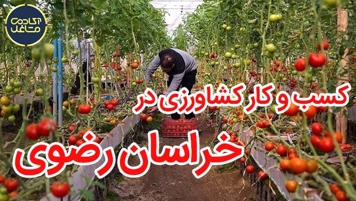 کسب-و-کار-کشاورزی-در-خراسان-رضوی