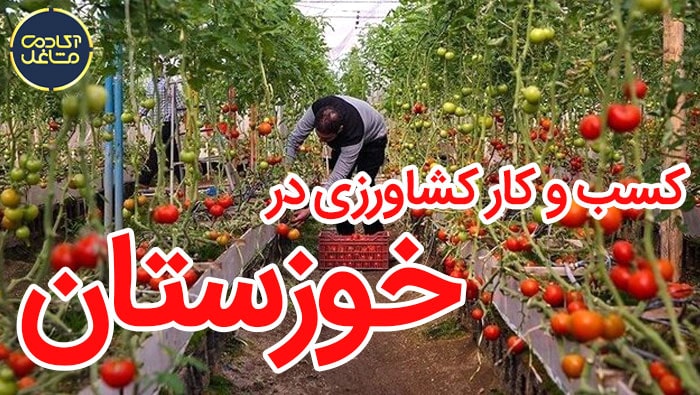 کسب-و-کار-کشاورزی-در-خوزستان