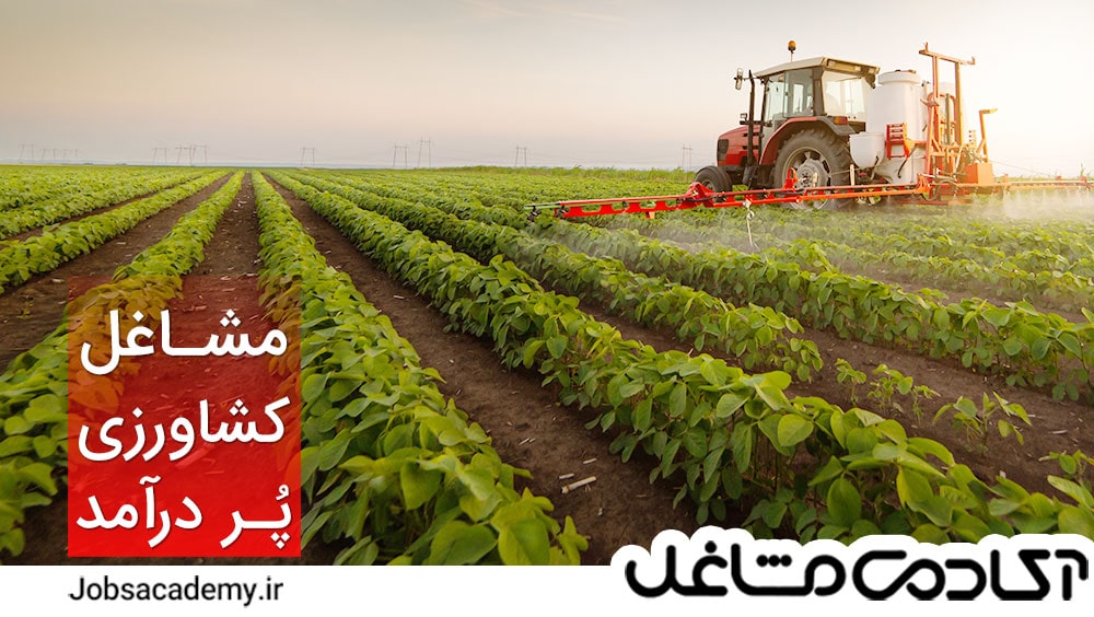 مشاغل-پر-درآمد-کشاورزی-در-ایران