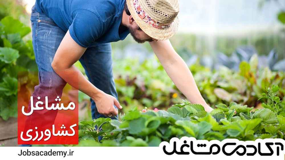 مشاغل-کشاورزی-در-ایران