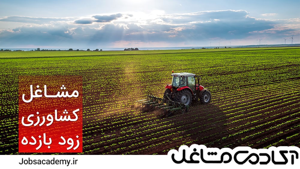 مشاغل زود بازده کشاورزی در ایران